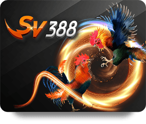 Play with Professional Dealers at BK8 Live Dealer Hot Online